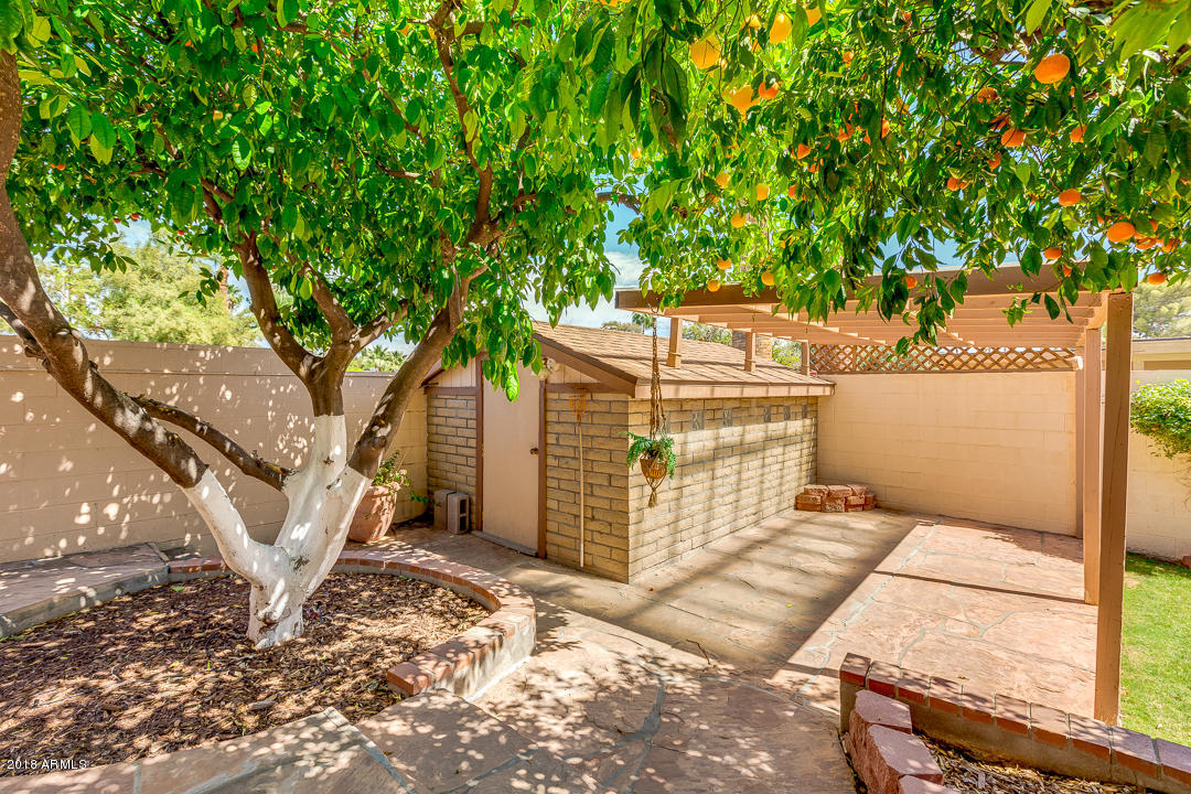 3627 East Bloomfield Road Phoenix, AZ 85032 - Photo 43 of 46 43-Bloomfield