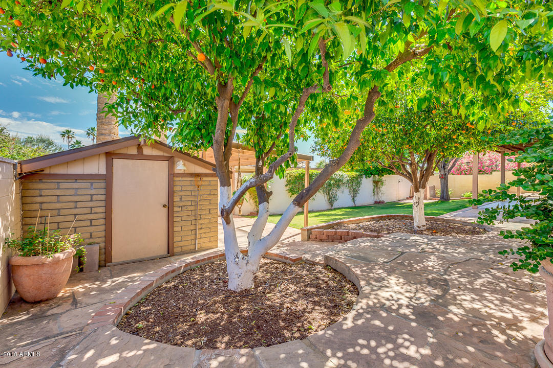 3627 East Bloomfield Road Phoenix, AZ 85032 - Photo 44 of 46 44-Bloomfield