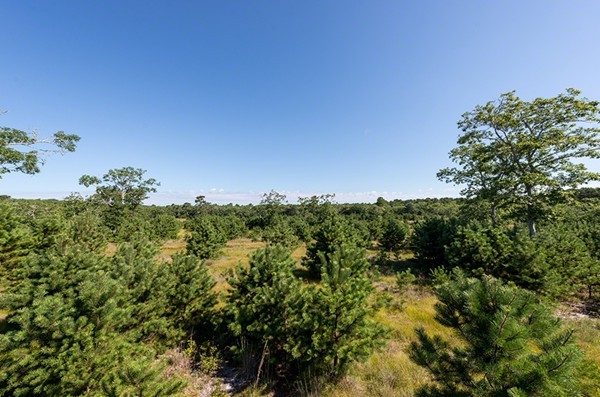 22 Paddock Road Oak Bluffs, MA 02557 - Photo 4 of 9