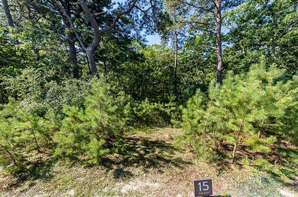 22 Paddock Road Oak Bluffs, MA 02557 - Photo 5 of 9