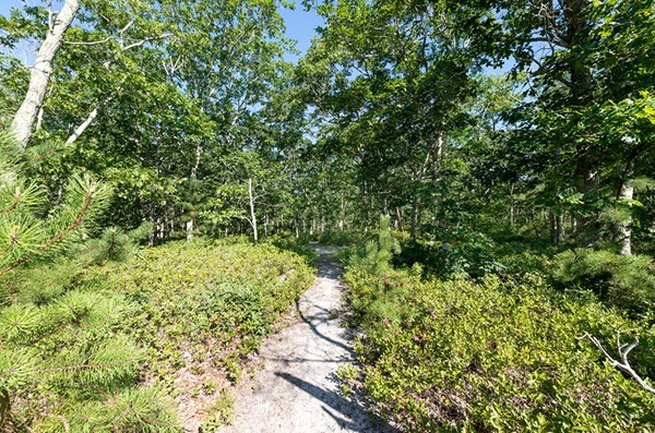 22 Paddock Road Oak Bluffs, MA 02557 - Photo 7 of 9