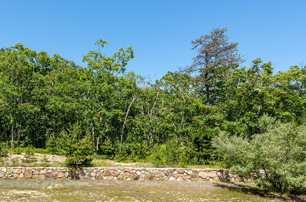 22 Paddock Road Oak Bluffs, MA 02557 - Photo 8 of 9