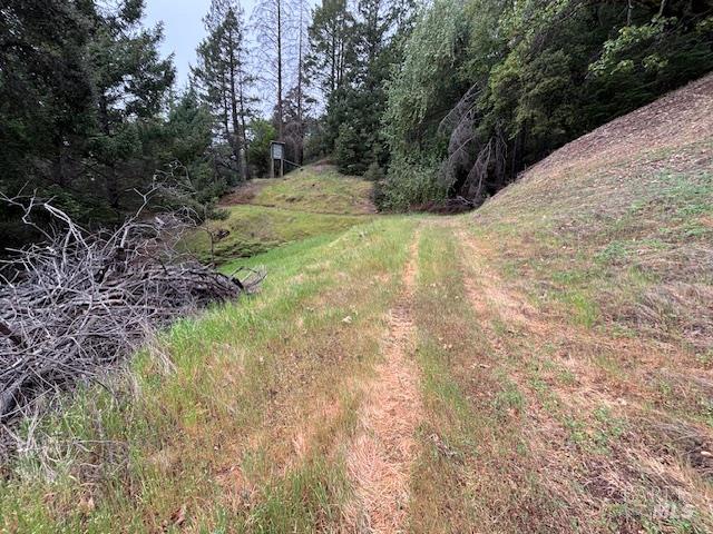 17707 Rockpile Road Geyserville, CA 95441 - Photo 4 of 22 a view of a yard with plants and trees