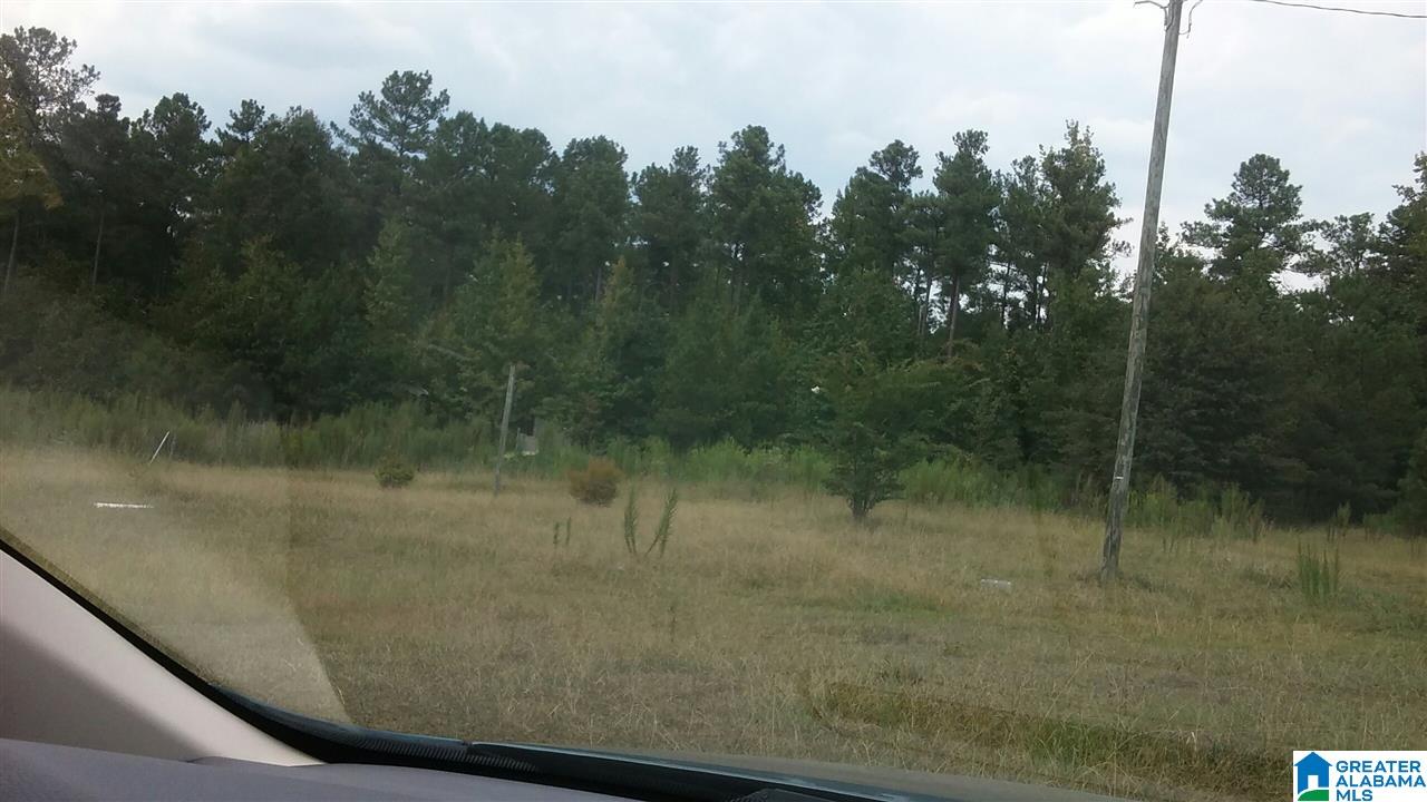 408 Rocky Rdg Road, Unit 1608330000001 032 Odenville, AL 35120 - Photo 2 of 5 Gallery Image 2
