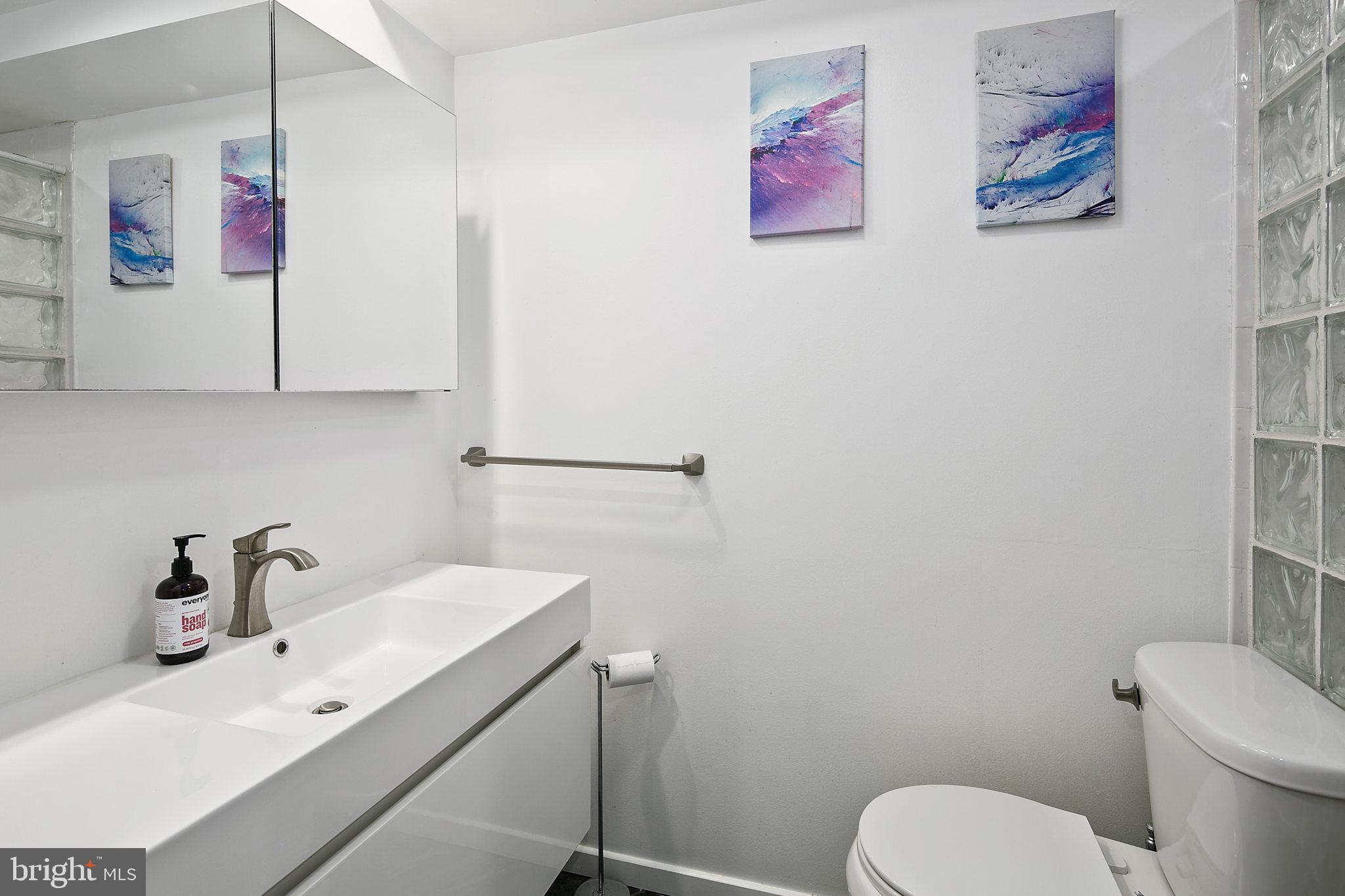 361 N Street Southwest, Unit 361 Washington, DC 20024 - Photo 31 of 52 Lower level bath