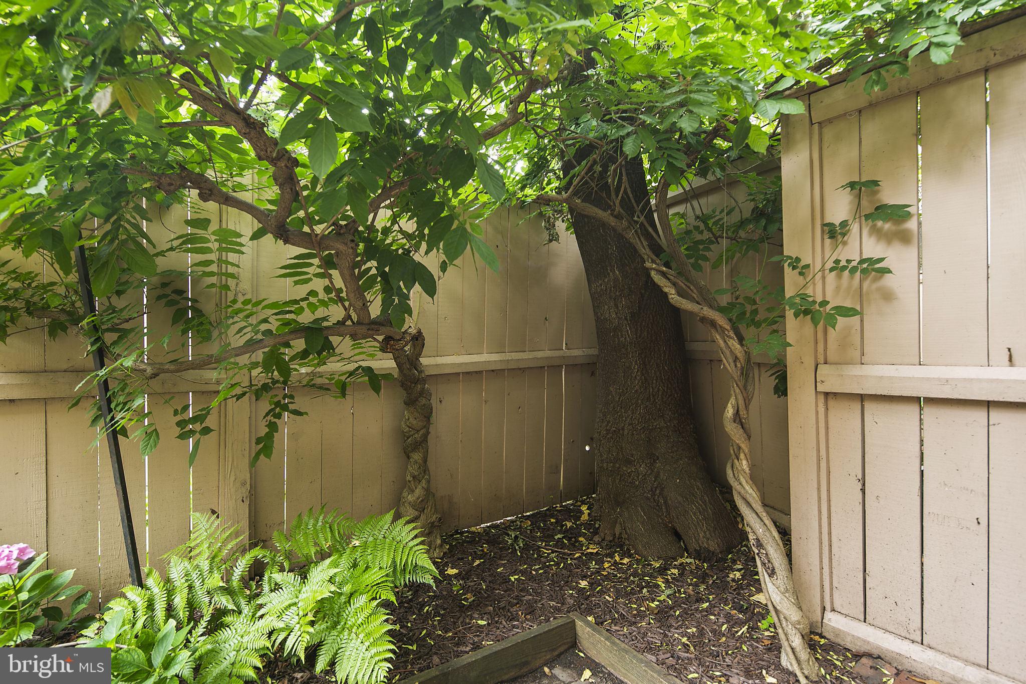 361 N Street Southwest, Unit 361 Washington, DC 20024 - Photo 43 of 52