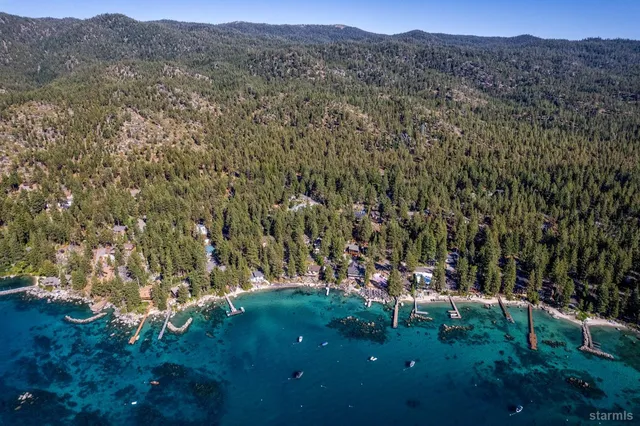 a view of a lush green forest with lots of trees