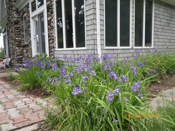 51 Burleigh Road Hampden, MA 01036 - Photo 28 of 30 Gallery Image 28