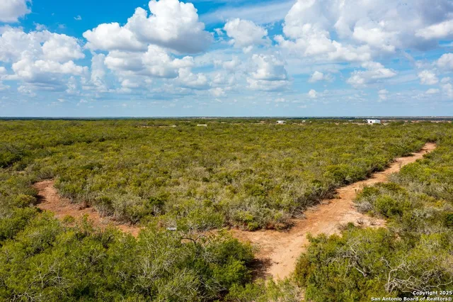 a view of a lake with a city