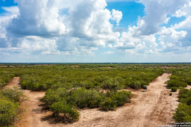 a view of a chairs in a backyard