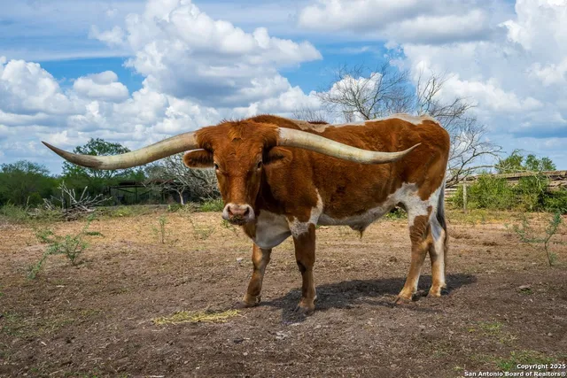 $890,000 | 947 County Road 302, Sandia, TX 78383