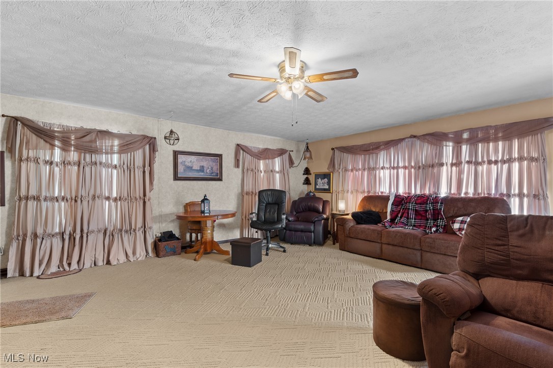 8 Spring Street Bridgeport, OH 43912 - Photo 10 of 34 Carpeted living room featuring a ceiling fan and a textured ceiling