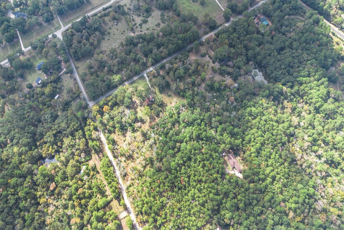 22868 Henson Road Montgomery, TX 77356 - Photo 9 of 9 a picture of tree