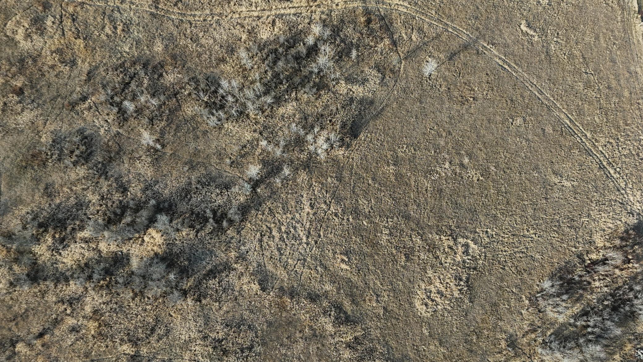 Tbd Ose Road Northwest Grygla, MN 56727 - Photo 14 of 16