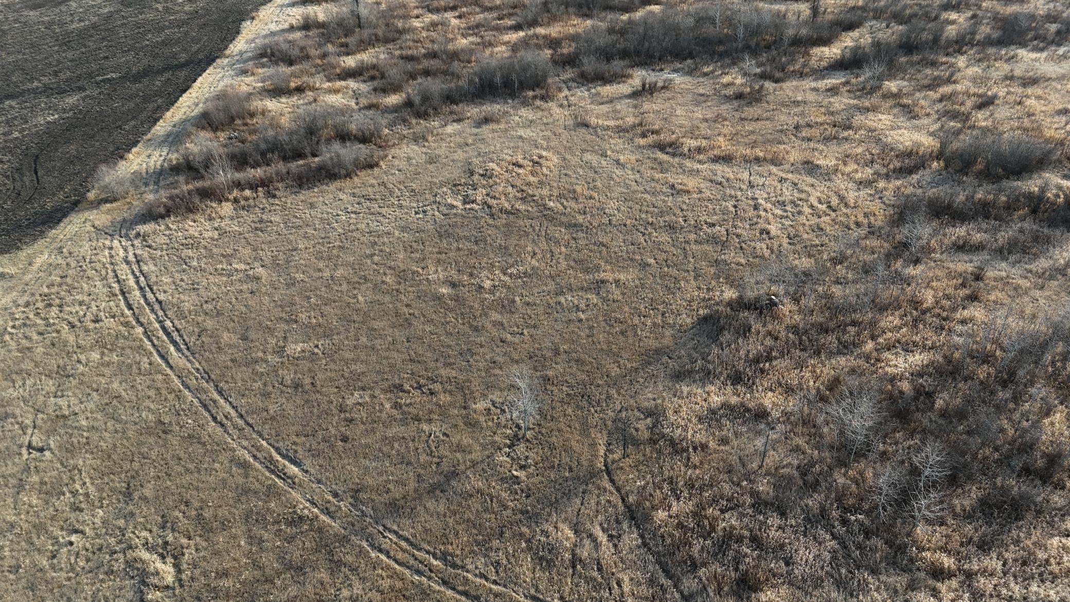 Tbd Ose Road Northwest Grygla, MN 56727 - Photo 3 of 16