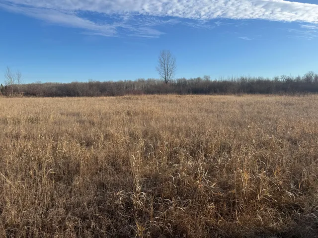 $35,000 | Tbd Ose Road Northwest, Grygla, MN 56727