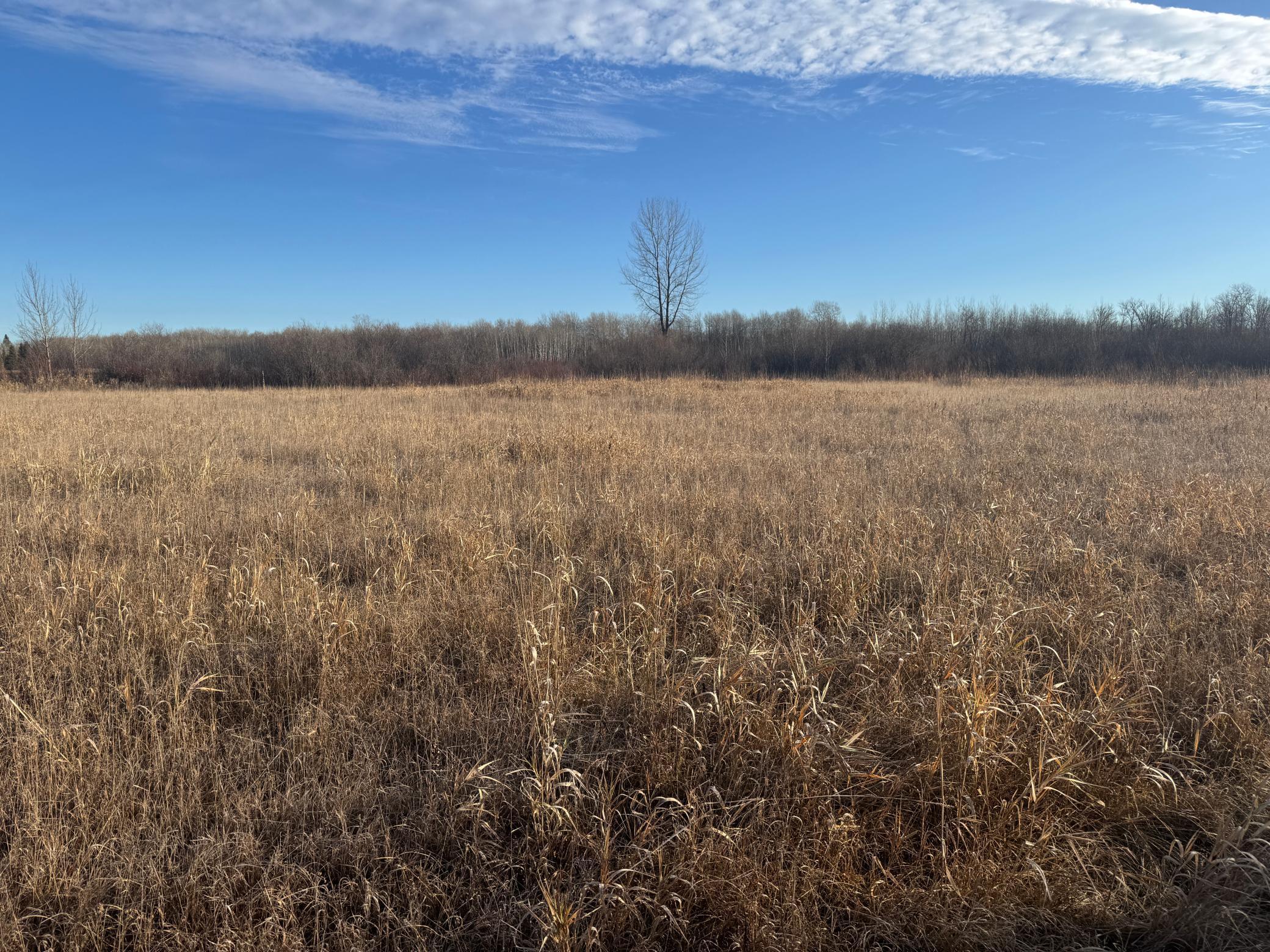 Tbd Ose Road Northwest Grygla, MN 56727 - Photo 4 of 16