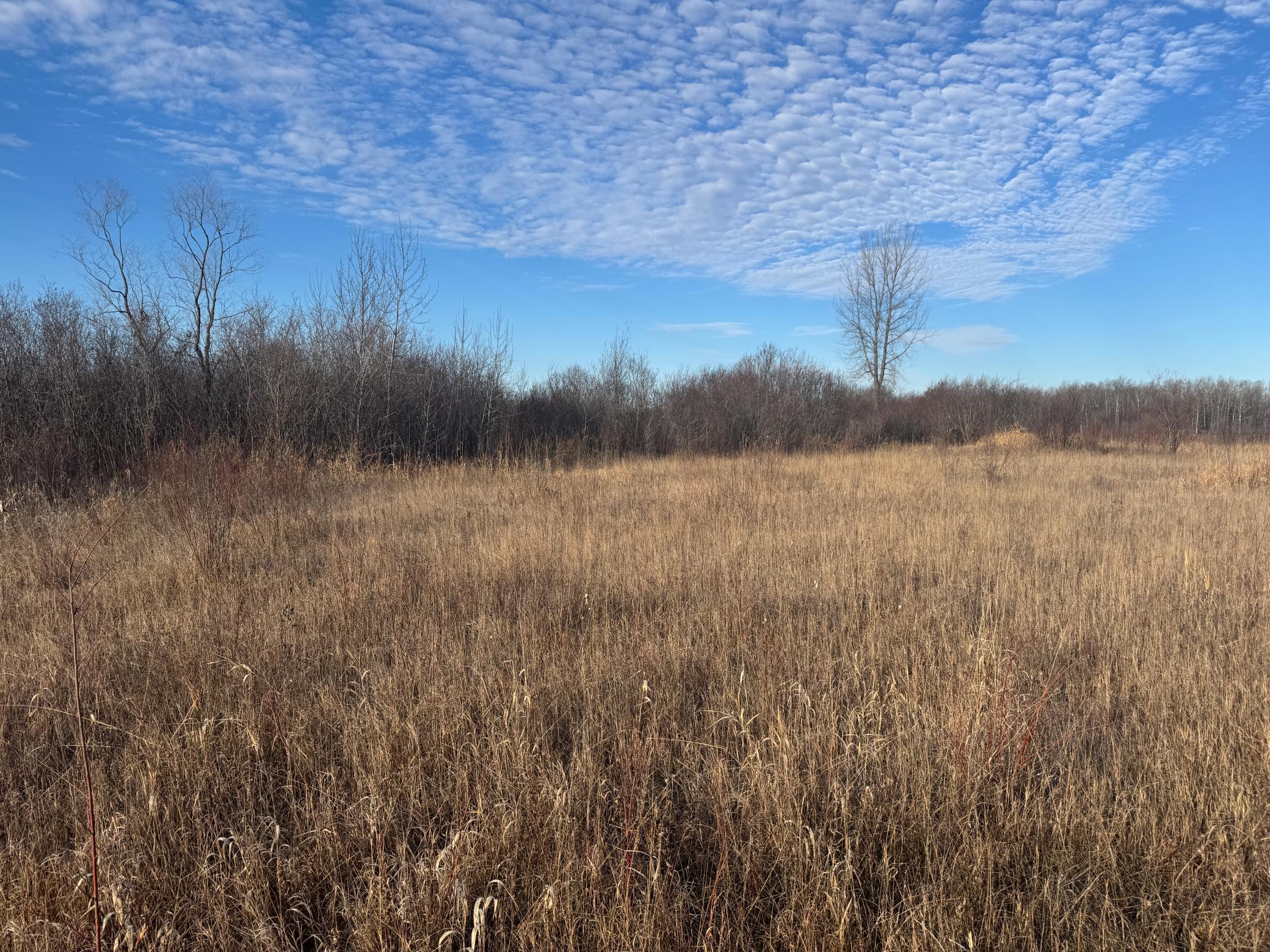 Tbd Ose Road Northwest Grygla, MN 56727 - Photo 5 of 16