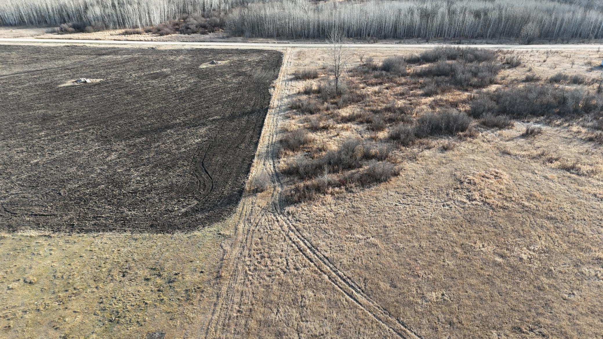 Tbd Ose Road Northwest Grygla, MN 56727 - Photo 8 of 16