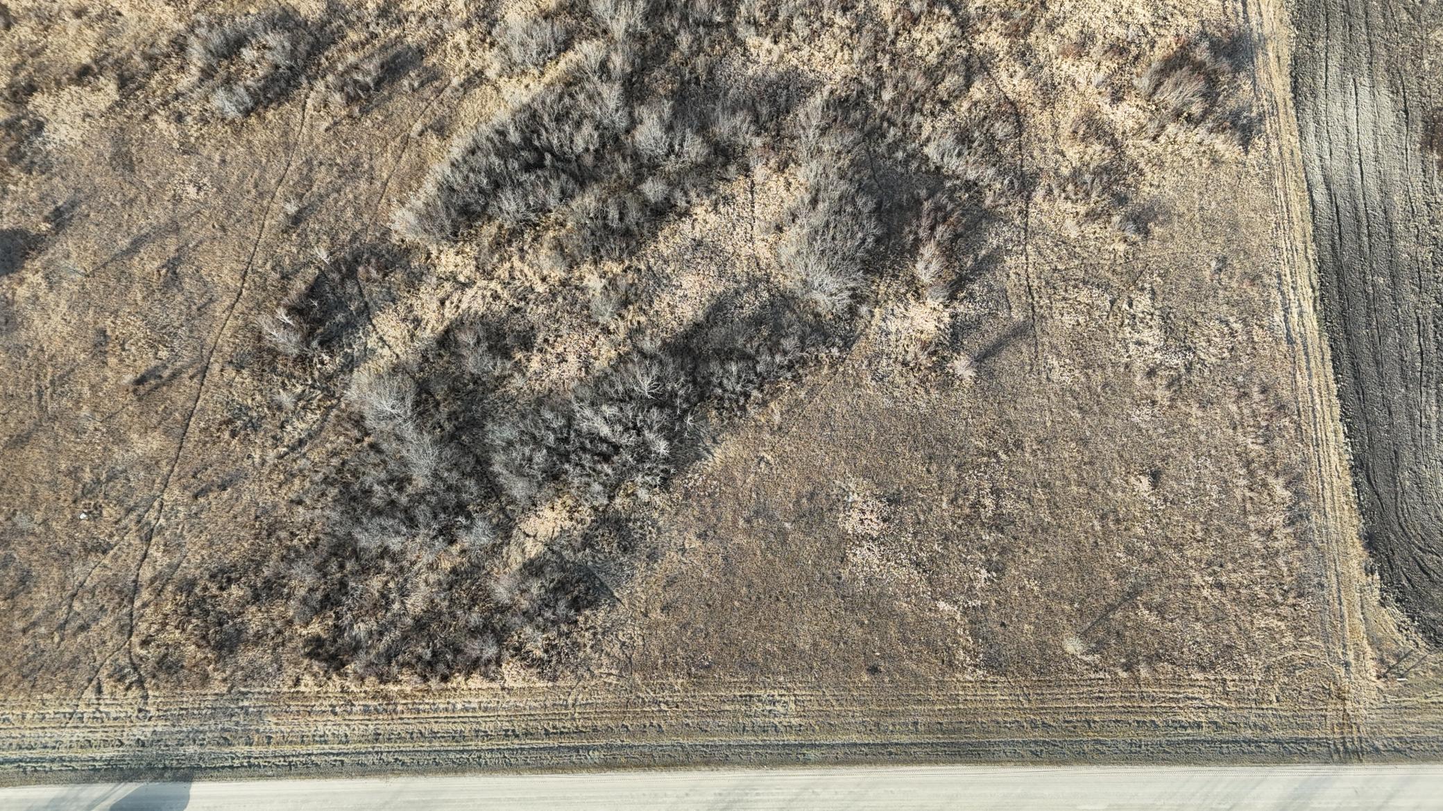 Tbd Ose Road Northwest Grygla, MN 56727 - Photo 10 of 16