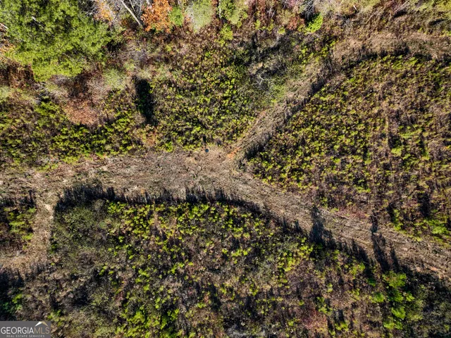 a view of outdoor space with lots of trees