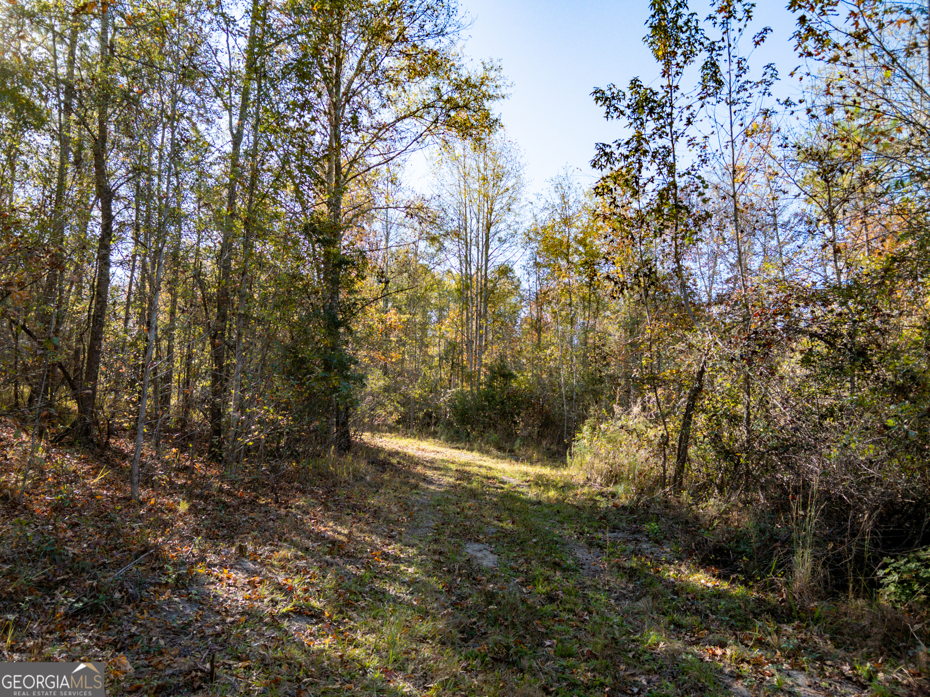 1100 Sapp Road Dry Branch, GA 31020 - Photo 39 of 54 a view of mountain view with lots of trees