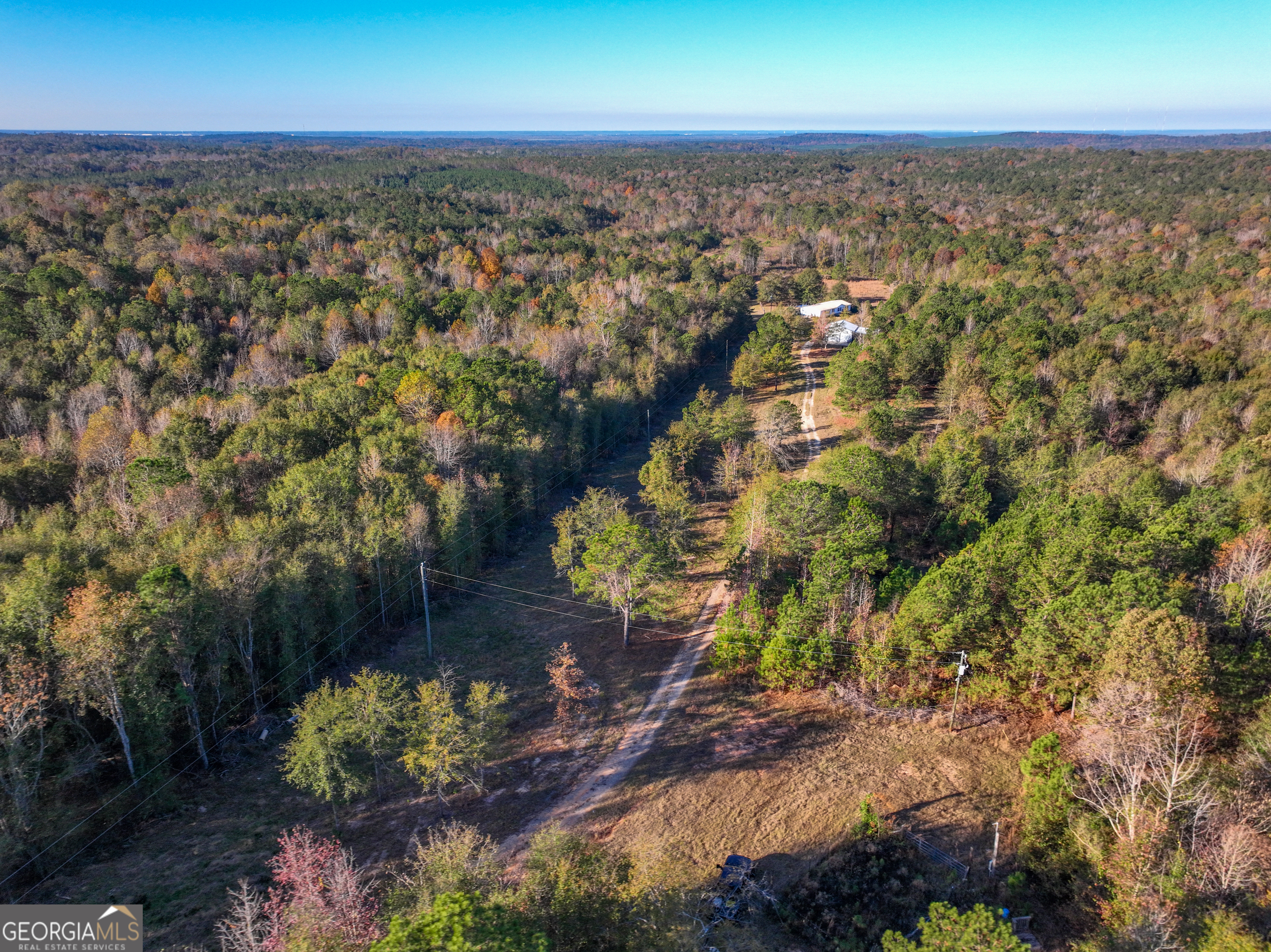 1100 Sapp Road Dry Branch, GA 31020 - Photo 40 of 54 an aerial view of residential building with green space