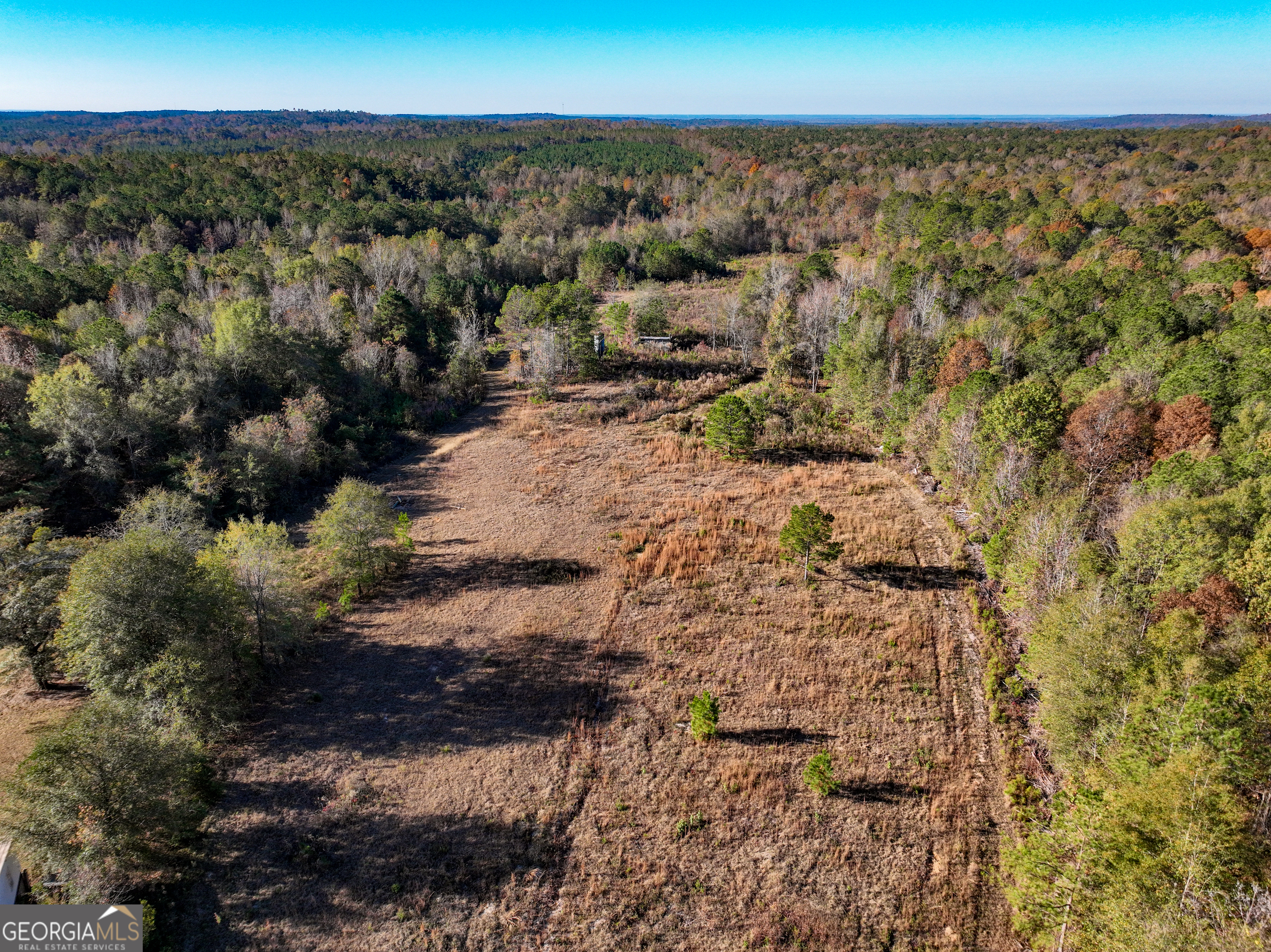 1100 Sapp Road Dry Branch, GA 31020 - Photo 44 of 54 a view of a city