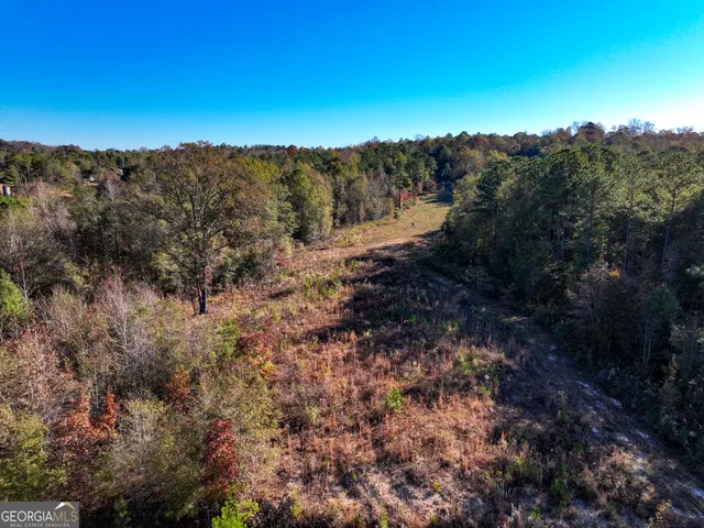 a view of outdoor space and tree