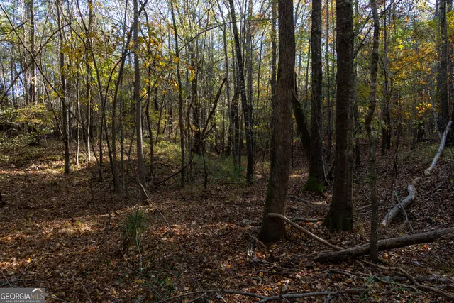 a view of a city and mountains