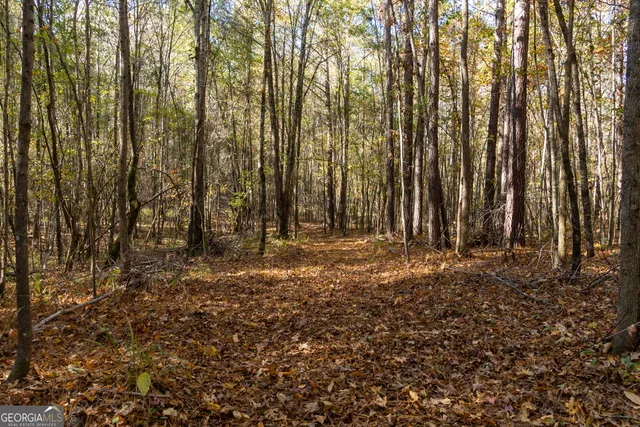 a view of a yard with swimming pool and trees