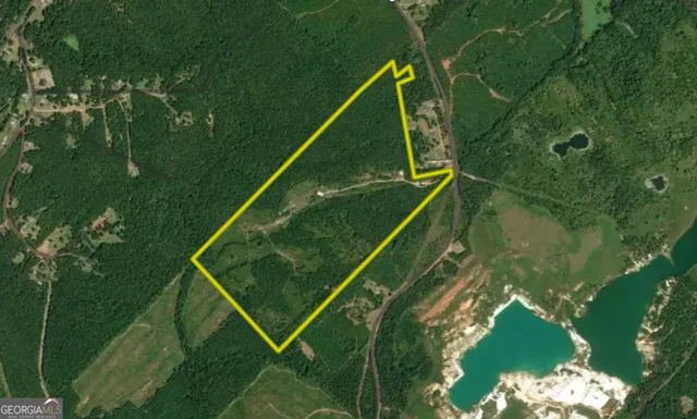 $600,000 | 1100 Sapp Road, Dry Branch, GA 31020