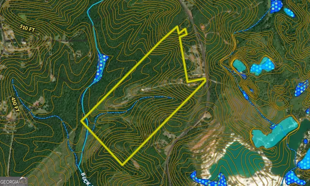 $600,000 | 1100 Sapp Road, Dry Branch, GA 31020