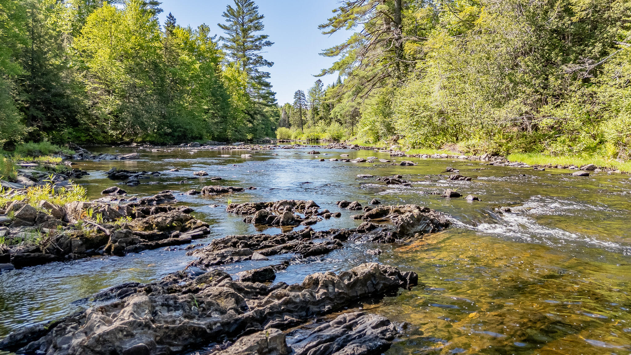 131 Gales Road Abbot, ME 04406 - Photo 122 of 128 DJI_20260603095451_0535_D