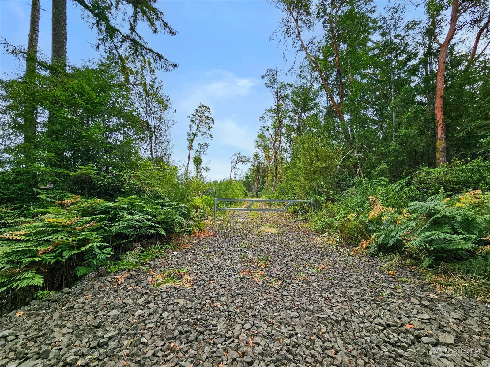 8007 Lackey Road Northwest Vaughn, WA 98394 - Photo 5 of 20 Gallery Image 5