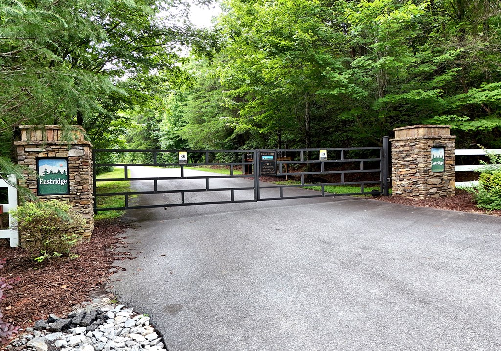 Lot 5 East Ridge Lane Ellijay, GA 30536 - Photo 24 of 24 Gallery Image 24
