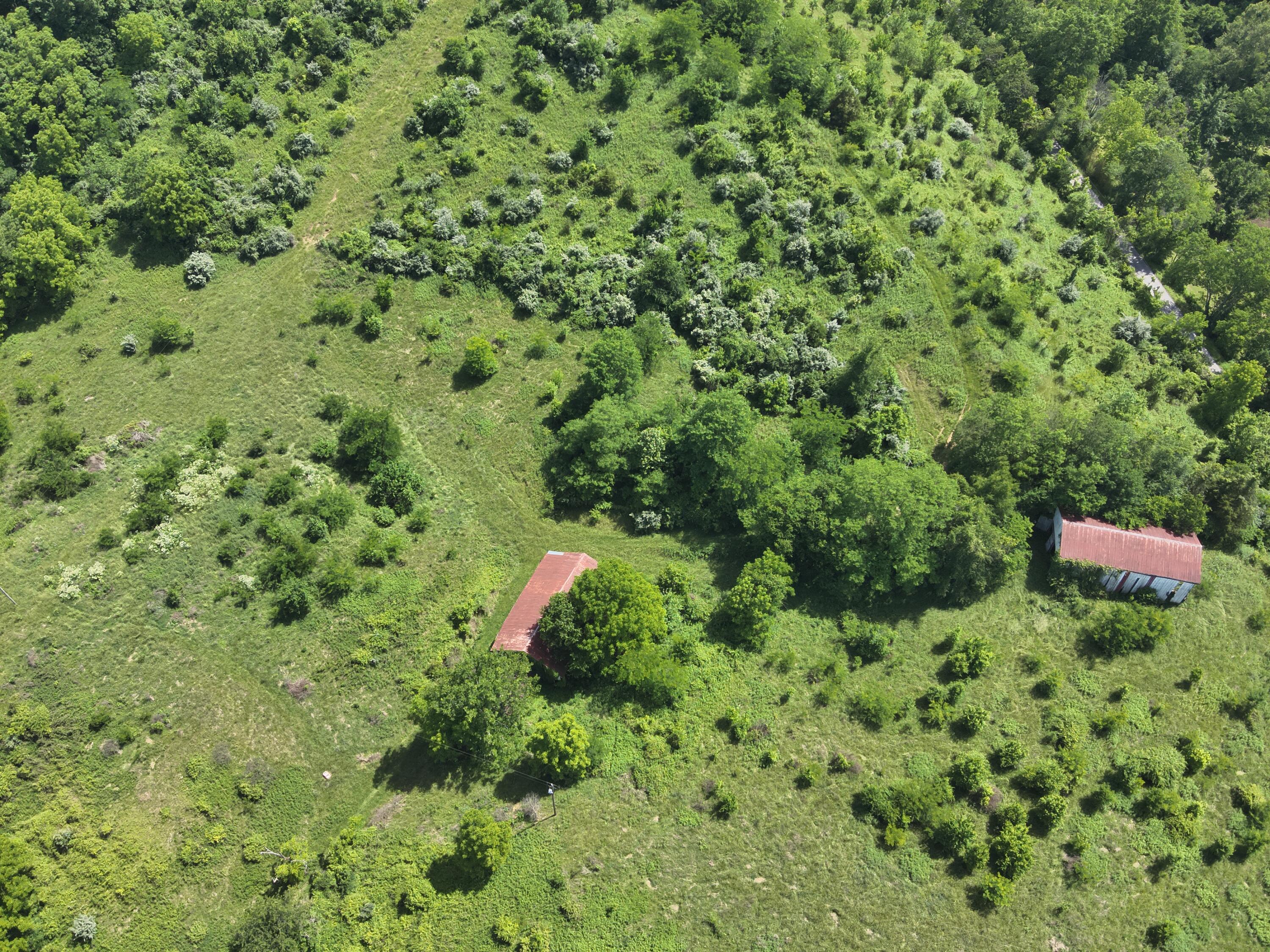 113 Lee's Creek Road Dover, KY 41034 - Photo 20 of 30 DJI_20260529151617_0004_V