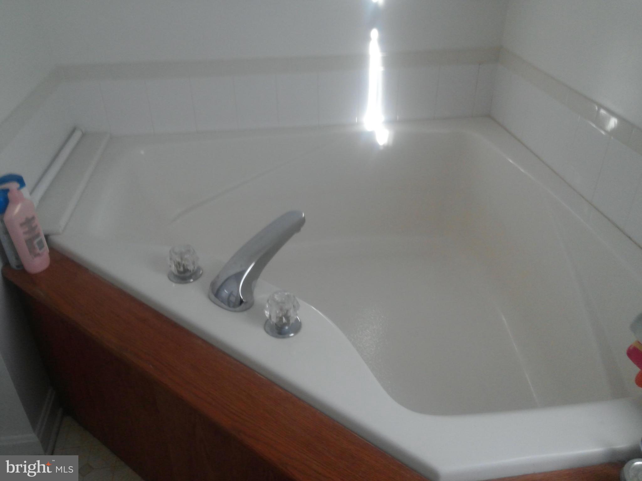 3317 Midland Road Midland, VA 22728 - Photo 17 of 18 Bath (Master)