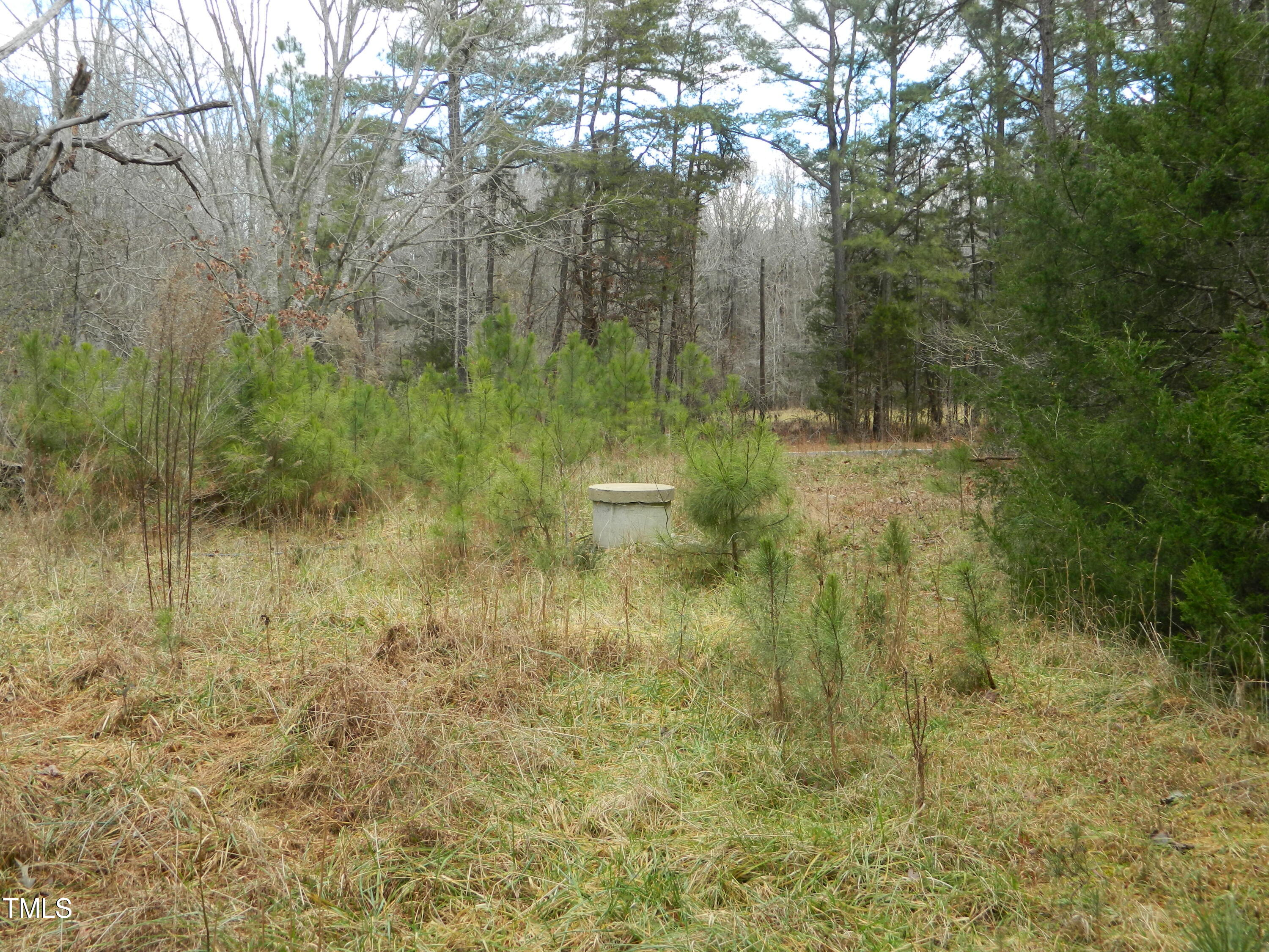 7059 Cornwall Road Oxford, NC 27565 - Photo 8 of 11 DSCN4396