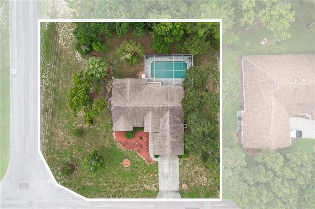 111 Pine Street Homosassa, FL 34446 - Photo 1 of 1 view of a garden