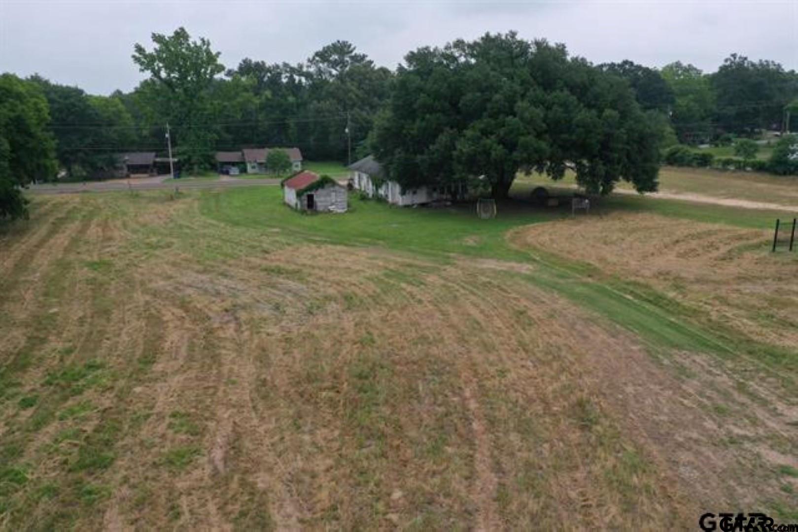 805 Dallas Street Winona, TX 75792 - Photo 11 of 20 a view of a field with of trees