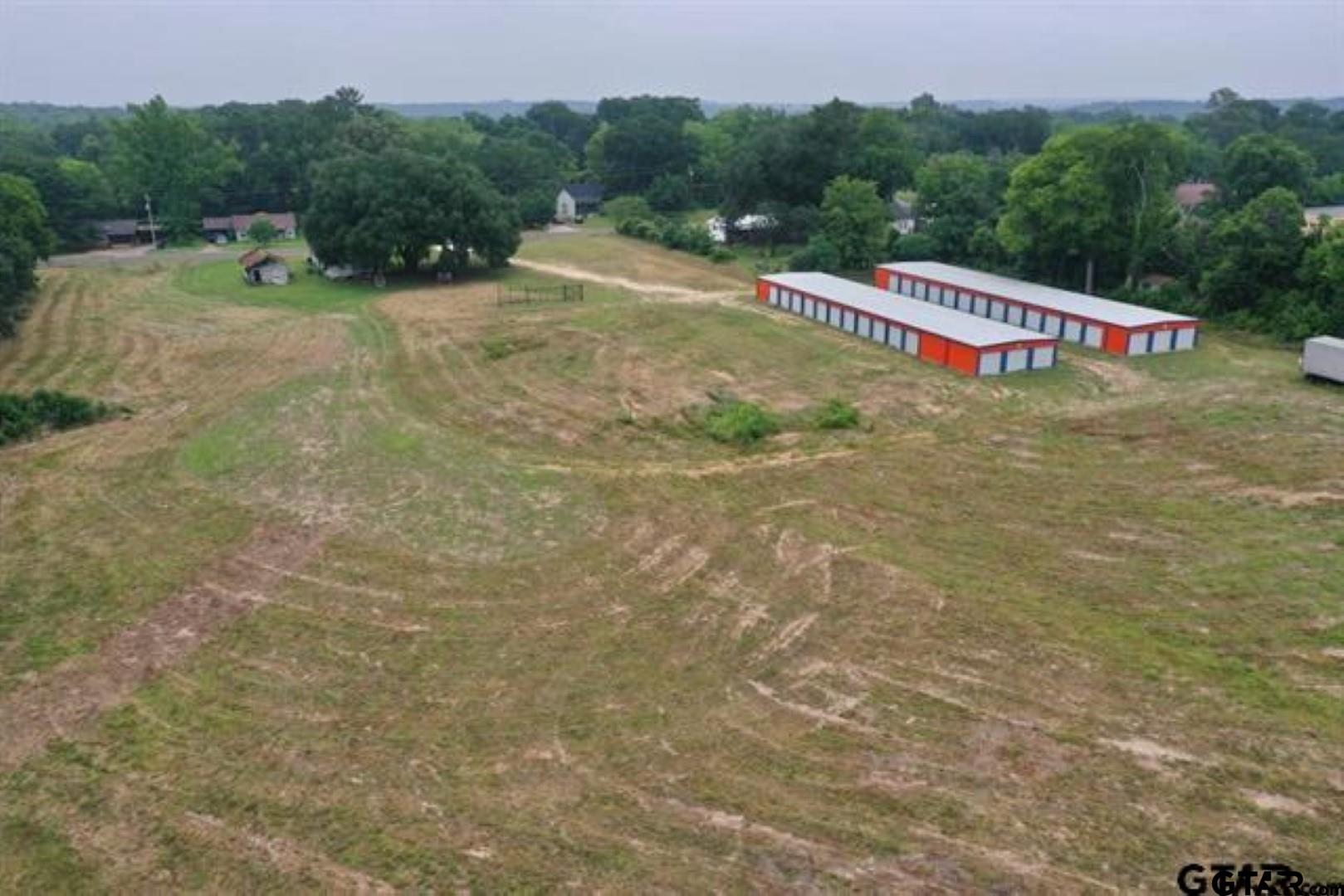 805 Dallas Street Winona, TX 75792 - Photo 13 of 20 a view of a big yard with large trees