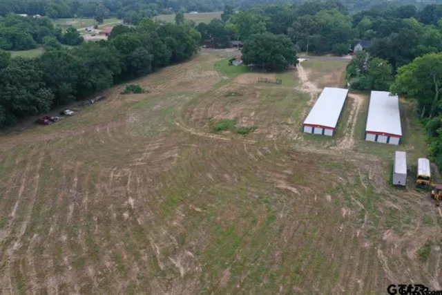 a view of a dry yard with trees