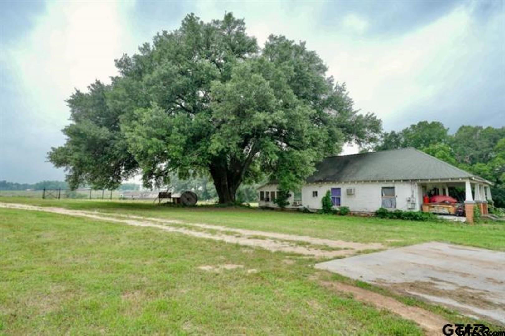 805 Dallas Street Winona, TX 75792 - Photo 9 of 20 a view of a big house with a big yard and large trees