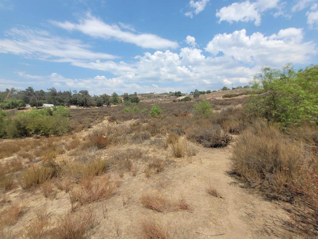 0 Washington Street Ramona, CA 92065 - Photo 4 of 9 a view of a dry yard with lots of trees