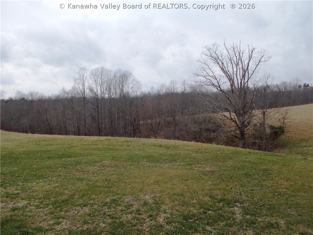 7938 Stone Lick Road Gay, WV 25244 - Photo 20 of 29 Gallery Image 20