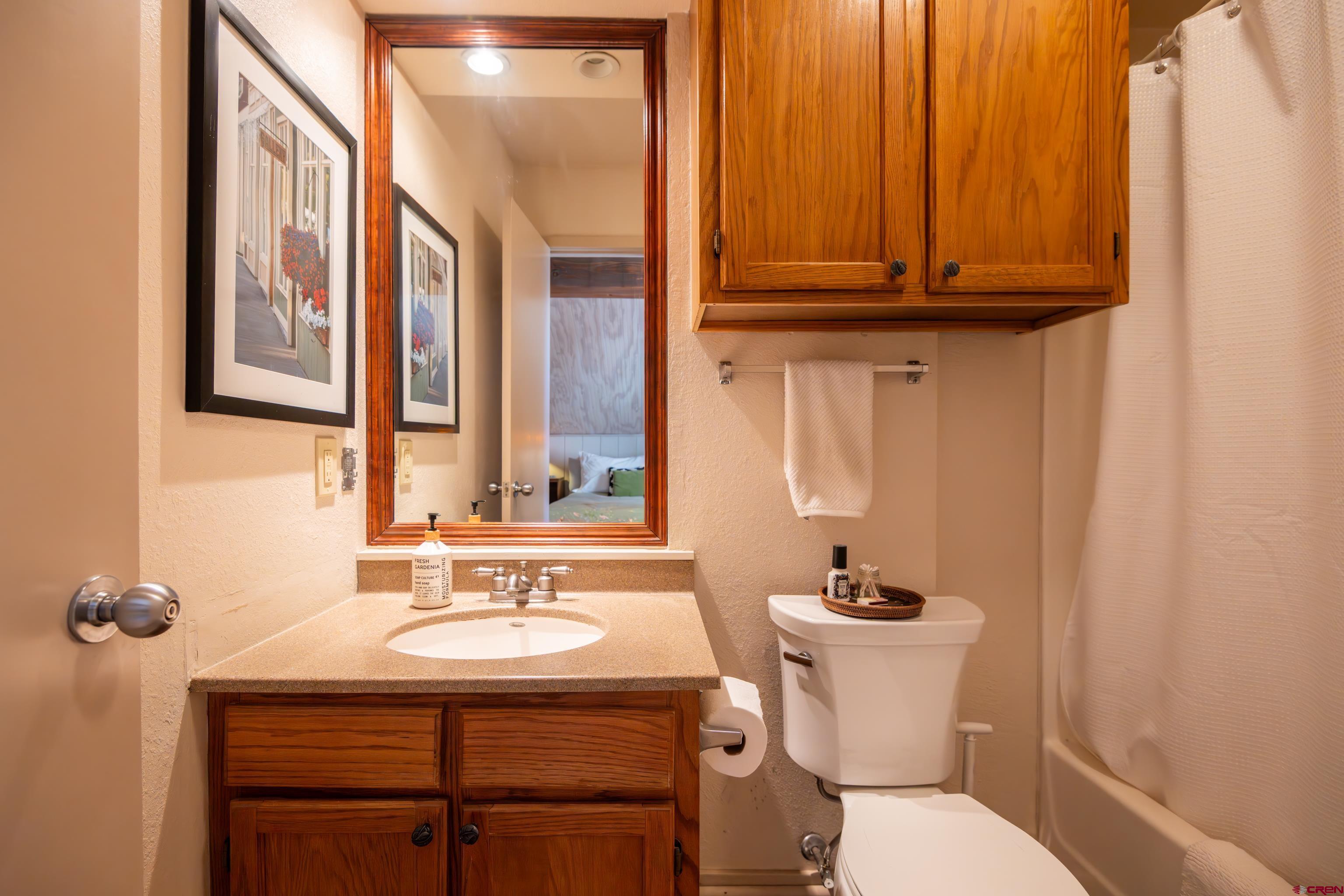 25 Emmons Road, Unit 41 Crested Butte, CO 81225 - Photo 34 of 45 a bathroom with a sink a toilet and mirror