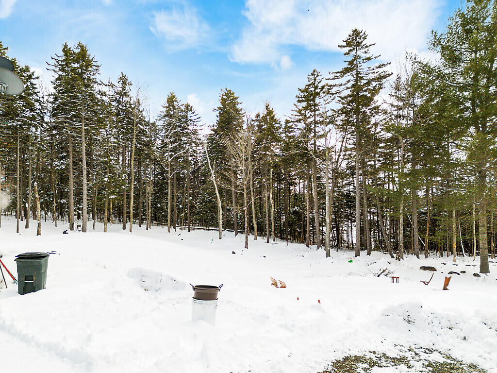 58 Sawyer Pond Highlands Road Greenville, ME 04441 - Photo 66 of 76 IMG_4445