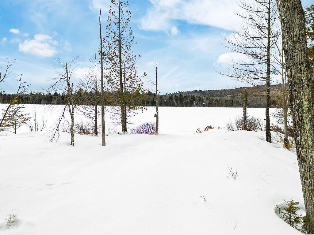 58 Sawyer Pond Highlands Road Greenville, ME 04441 - Photo 69 of 76 IMG_4453