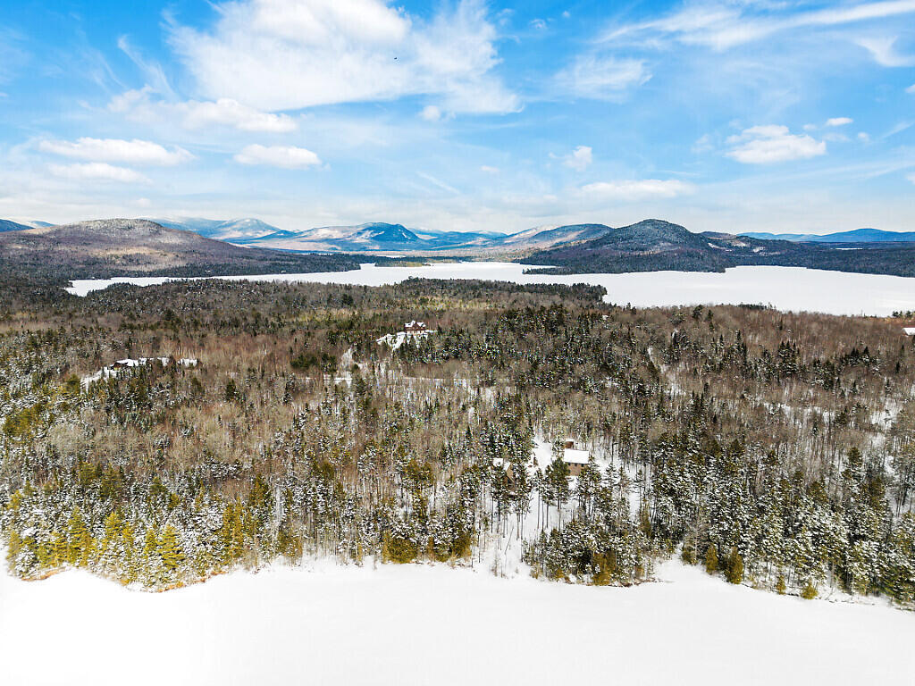 58 Sawyer Pond Highlands Road Greenville, ME 04441 - Photo 71 of 76 IMG_4455